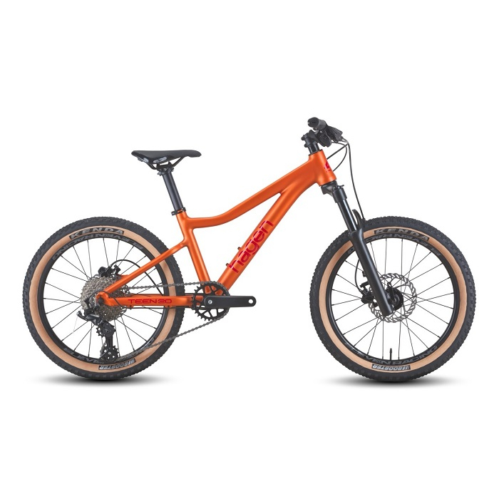 Велосипед Hagen Teen 20 copper (2025)