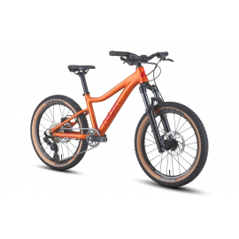 Велосипед Hagen Teen 20 copper (2025)