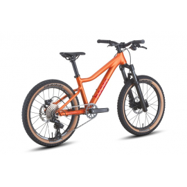 Велосипед Hagen Teen 20 copper (2025)