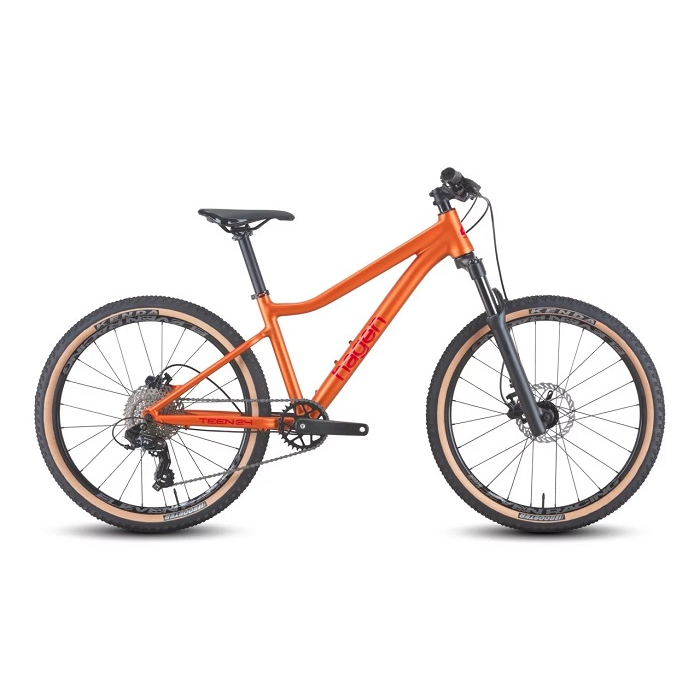 Велосипед Hagen Teen 24 HD copper (2025)