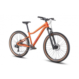 Велосипед Hagen Teen 26 HD copper (2025)