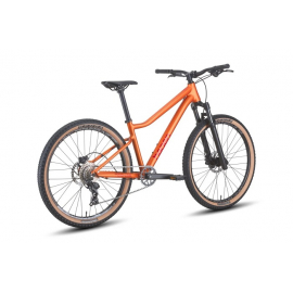 Велосипед Hagen Teen 26 HD copper (2025)