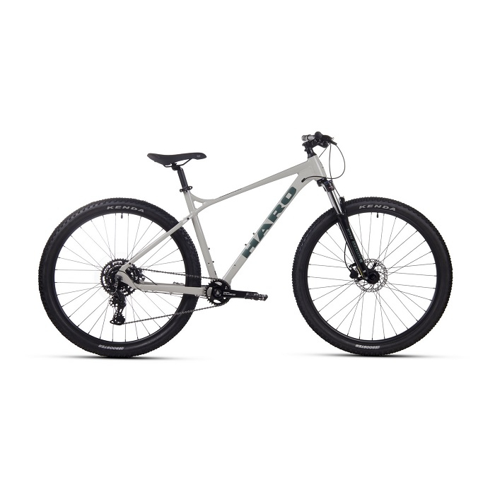 Велосипед Haro Double Peak 29 Trail 20" grey (2025)
