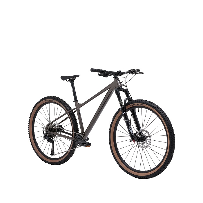 Велосипед Welt Rambler 29 22" luxury graphite (2024)