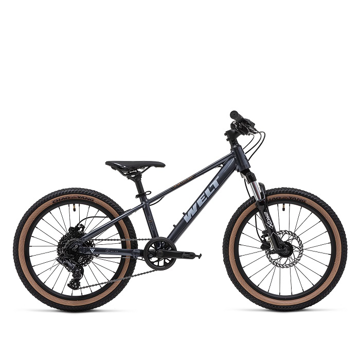 Велосипед Welt Brave 2.0 20HD neptune gray (2025)