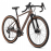 Велосипед Welt G-Air 700c 50см sugar brown (2025)