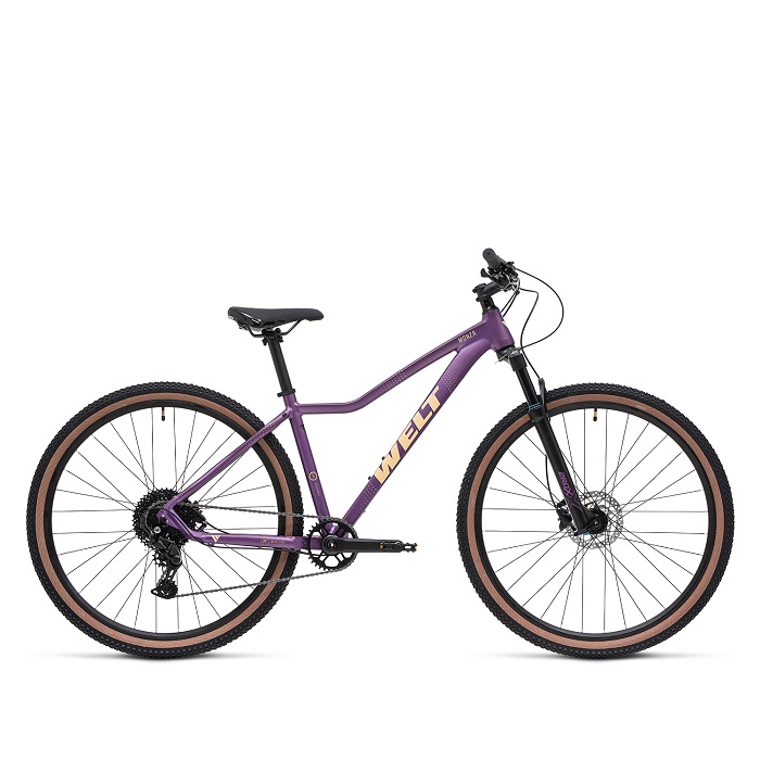 Велосипед Welt Monza 3.0 29 18" elegant purple (2025)