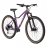 Велосипед Welt Monza 3.0 29 18" elegant purple (2025)