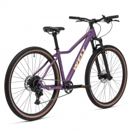 Велосипед Welt Monza 3.0 29 18" elegant purple (2025)