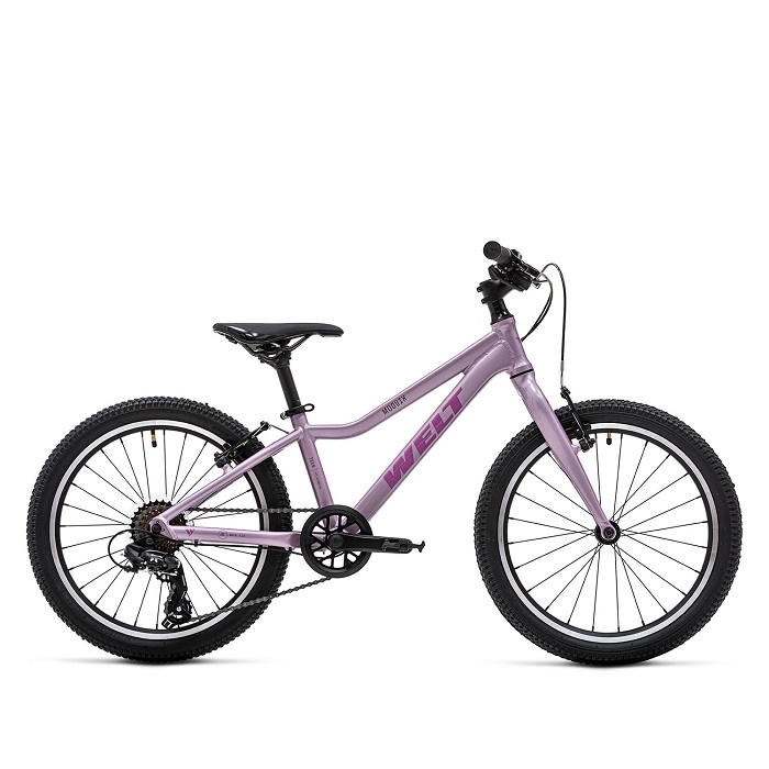 Велосипед Welt Moovix 2.0 20V amazing pink (2025)
