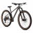 Велосипед Welt Rambler 1.0 20" luxury graphite (2025)