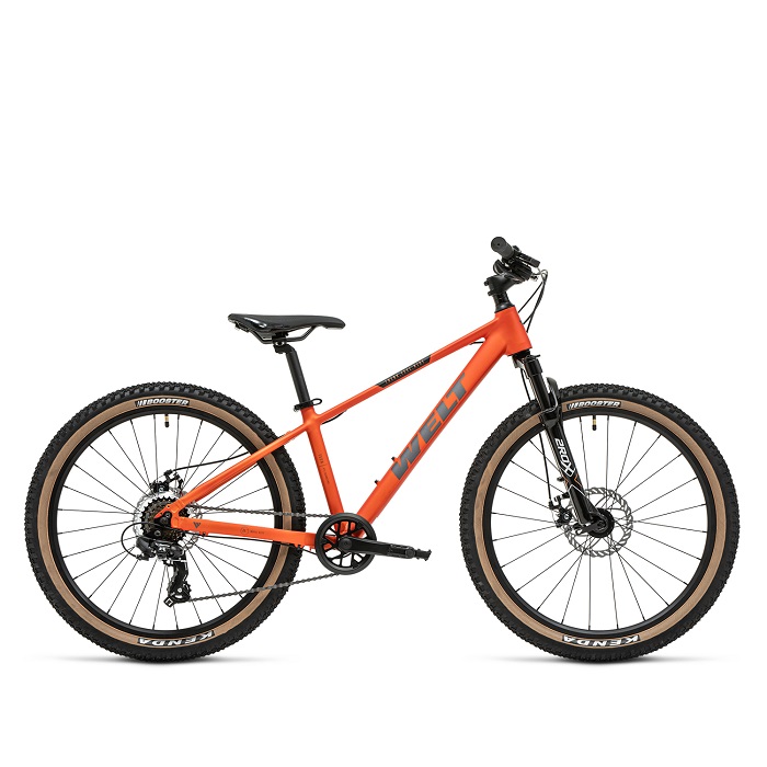 Велосипед Welt Brave 1.0 24MD dreamy fox (2025)