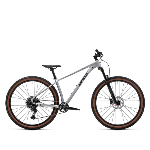 Велосипед Welt Icon 3.0 29 20" brutal silver (2026)