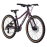 Велосипед Welt Moovix 2.0 24 HD sparkling purple (2027)