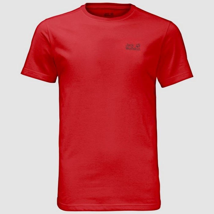 Футболка Jack Wolfskin Essential T men