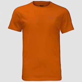 Футболка Jack Wolfskin Essential T men