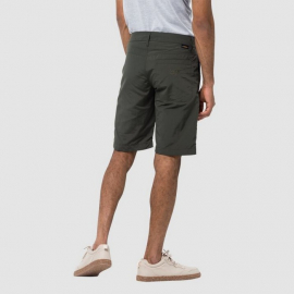 Шорты Jack Wolfskin Desert Valley Shorts men