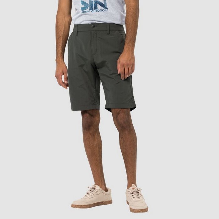 Шорты Jack Wolfskin Desert Valley Shorts men